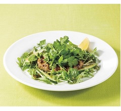 デニーズがパクチーハンバーグ、追いパクも用意