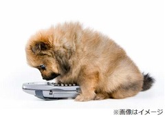 子犬が&ldquo;通報&rdquo;逃走劇に終止符、警察も「警察犬として有望」と評価。