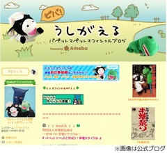 パペットマペット、テレビ番組で覆面取った