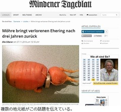 畑で紛失した指輪、収穫ニンジンがはめていた