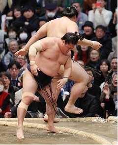 大の里を破った若隆景