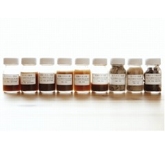 コオロギを発酵させた&ldquo;コオロギ醤油&rdquo;商品化