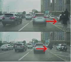 渋滞の道路を疾走する&ldquo;リアルチョコボ&rdquo;