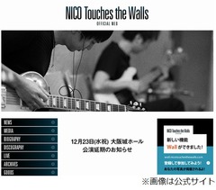 扉に手首挟まれギタリスト骨折、NICO Touches the Wallsの公演延期。