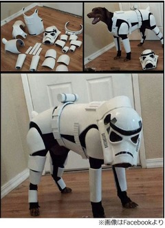 スター・ウォーズ衣装のわんこ、世界各地でストーム・トルーパー確認。