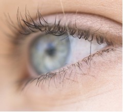 失明からの&ldquo;視力回復&rdquo;可能に、画期的な目のインプラントが登場