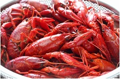 &ldquo;ザリガニの爪&rdquo;で肛門に痛み、一週間前に誤って口にした爪が引っかかる。