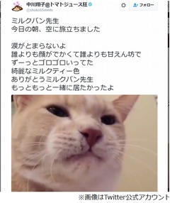 しょこたんが愛猫の死に涙止まらず「もっともっと一緒に居たかった」。