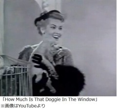 曲が流れ続ける&ldquo;幻聴&rdquo;に悩む、会話や睡眠も妨げられ苦労絶えず。