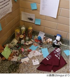 故ゴキブリ偲び盛大な&ldquo;葬儀&rdquo;「決して忘れないよ」「人気に嫉妬」。