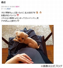 出産目前に控え絢香&ldquo;パツパツ&rdquo;のお腹「これ以上は無理じゃないか」。