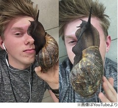 巨大カタツムリを顔に這わせる少年