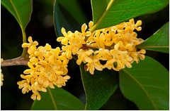 観光地の&ldquo;処女は無料&rdquo;で物議、関係者が明かしたキャンペーンの理由は。