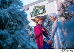 アナ雪ショーやグリーティング、米ウォルト・ディズニー・ワールドで。