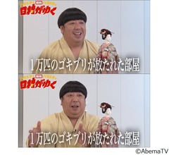 バナナマン日村、1万匹のゴキブリと戦った過去