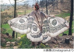 蝶や蛾の羽のような&ldquo;マント&rdquo;、手作りの幻想的な衣装が話題に。