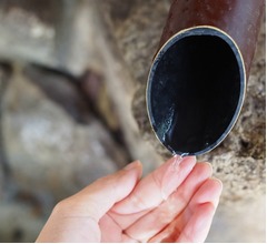 「洗い物面倒だから」大家志津香はお茶飲むときも&ldquo;手水スタイル&rdquo;