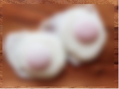 木村カエラが&ldquo;おっぱい&rdquo;披露、「やめなさい（笑）」「離れてる」。