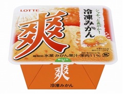 「爽 冷凍みかん」を復活発売、よりリアルな冷凍みかん品質へ改良。