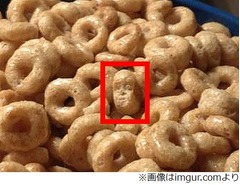 朝食に混ざっていたイラつく顔、&ldquo;感じる視線&rdquo;の正体見つけ喰う。