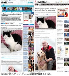 瀕死の&ldquo;親友&rdquo;猫を犬が救う、茂みの前で吠え続け飼い主に報告。