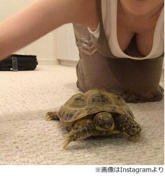 森下悠里魅せた&ldquo;カメと谷間&rdquo;、ロンハーにも登場の愛亀と2ショット。