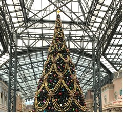 TDR&ldquo;すべてのお菓子・食品類のグッズ&rdquo;の購入個数制限