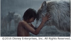 登場する&ldquo;人間&rdquo;は1人だけ、「ジャングル・ブック」日本公開日が決定。