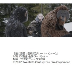 実はすごいオランウータン、&ldquo;人権&rdquo;認定も