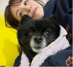 はんにゃ.川島と離婚した元妻・菜月さん、離れて暮らす愛犬との&ldquo;定期面会&rdquo;叶う