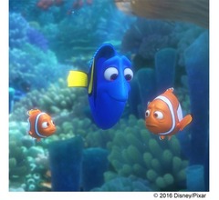 「ニモ」続編の共同監督、制作苦労話明かす