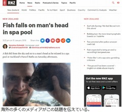 空から魚が&hellip;スパで寛ぐ男性に直撃