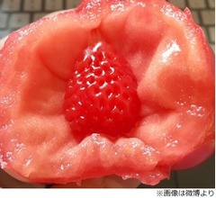 トマトの中から&ldquo;イチゴ&rdquo;がひょっこり