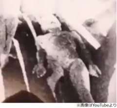 &ldquo;宇宙人を担架で運ぶ動画&rdquo;に騒然