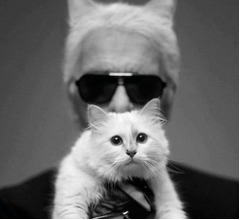 カール・ラガーフェルドの遺産220億円、愛猫が相続か