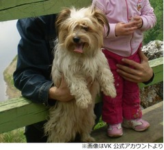 飼い犬をマイナス30度の空港に置き去り死