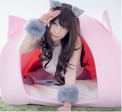 猫になりたい夢叶える「人間用ペットハウス」