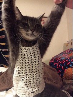 怒りのAmazonレビューに大絶賛、購入した服が小さすぎて&ldquo;抗議&rdquo;。