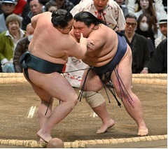 藤凌駕の押し出し