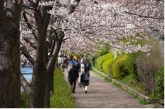 &ldquo;街の魅力&rdquo;どこで判断する？ トップは過半数支持の「交通の利便性」。