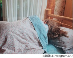 ベッキーがローラの寝姿を盗撮「寝てる時も素敵なポージング」。