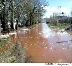 &ldquo;ペプシコーラの川&rdquo;突如現れ騒然