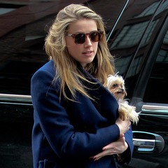 アンバー・ハードと友人2人、ジョニー・デップのDV裁判で証言台へ。