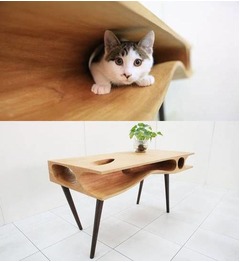 【写真】にゃんこと一緒に使うテーブル、内部に&ldquo;遊べる&rdquo;穴や通路。