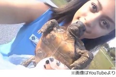 稀少カメを水に投げ入れ大炎上、無知な少女の&ldquo;カメ愛&rdquo;が招いた悲劇。