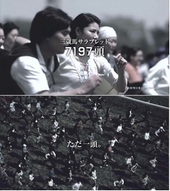 AKB48倉持が日本ダービーCMに、ソロデビューシングルも本邦初公開。