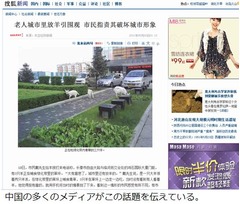 都市部での&ldquo;牧羊&rdquo;に賛否両論、グリーンベルトの芝をムシャムシャ。