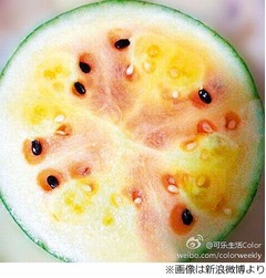 果肉が&ldquo;2色&rdquo;のスイカが話題、「爆発はしません」と生産者も太鼓判。