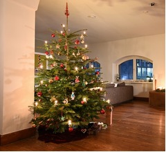 クリスマスツリーの&ldquo;垂れ下がり&rdquo;を予防、バイアグラで元気に