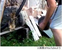 器用に&ldquo;バスケの防御&rdquo;する猫、かわいい姿に「NBA入れるね！」の声も。